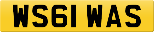 WS61WAS